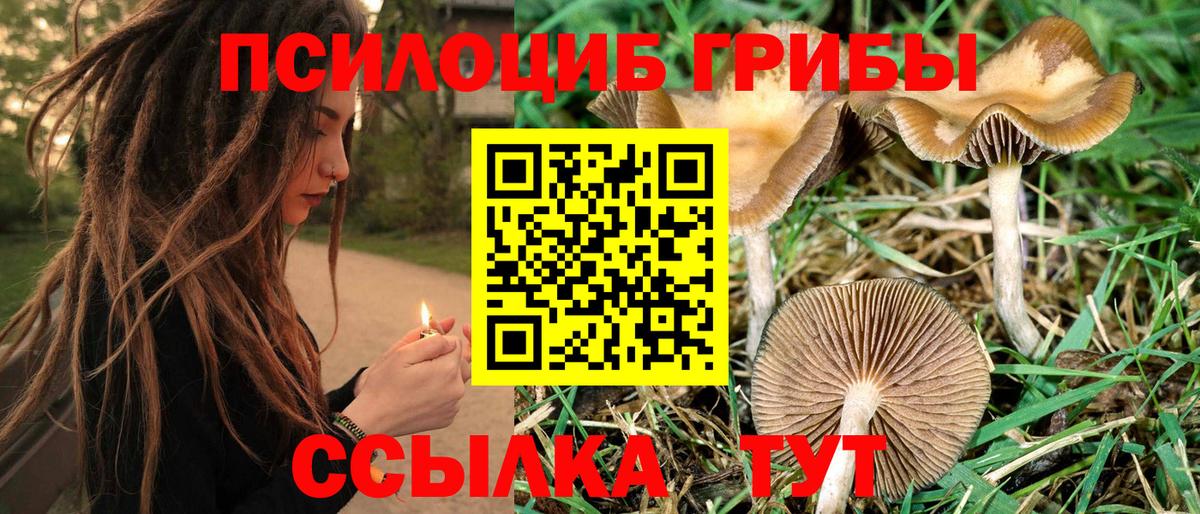 Псилоцибиновые грибы Magic Shrooms  Вход с VPN  Галлюциногенные грибы MAGIC MUSHROOMS  Кашира 
