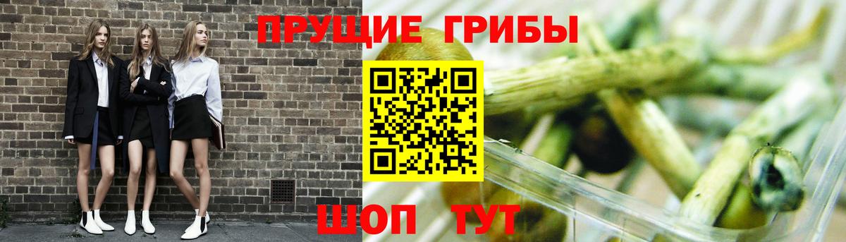 Галлюциногенные грибы мицелий Кашира